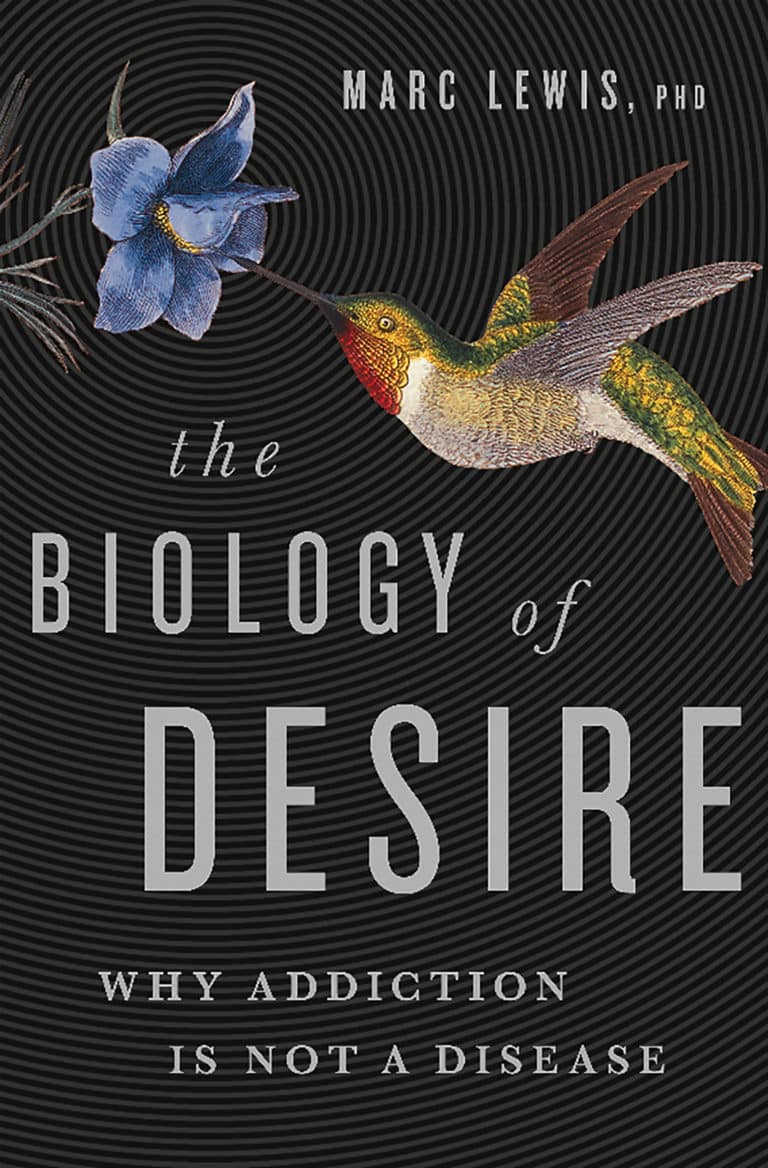 20 Best Books for Alcoholism to Transcend Addiction Fit Recovery