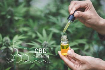 Cbd Withdrawal Reddit