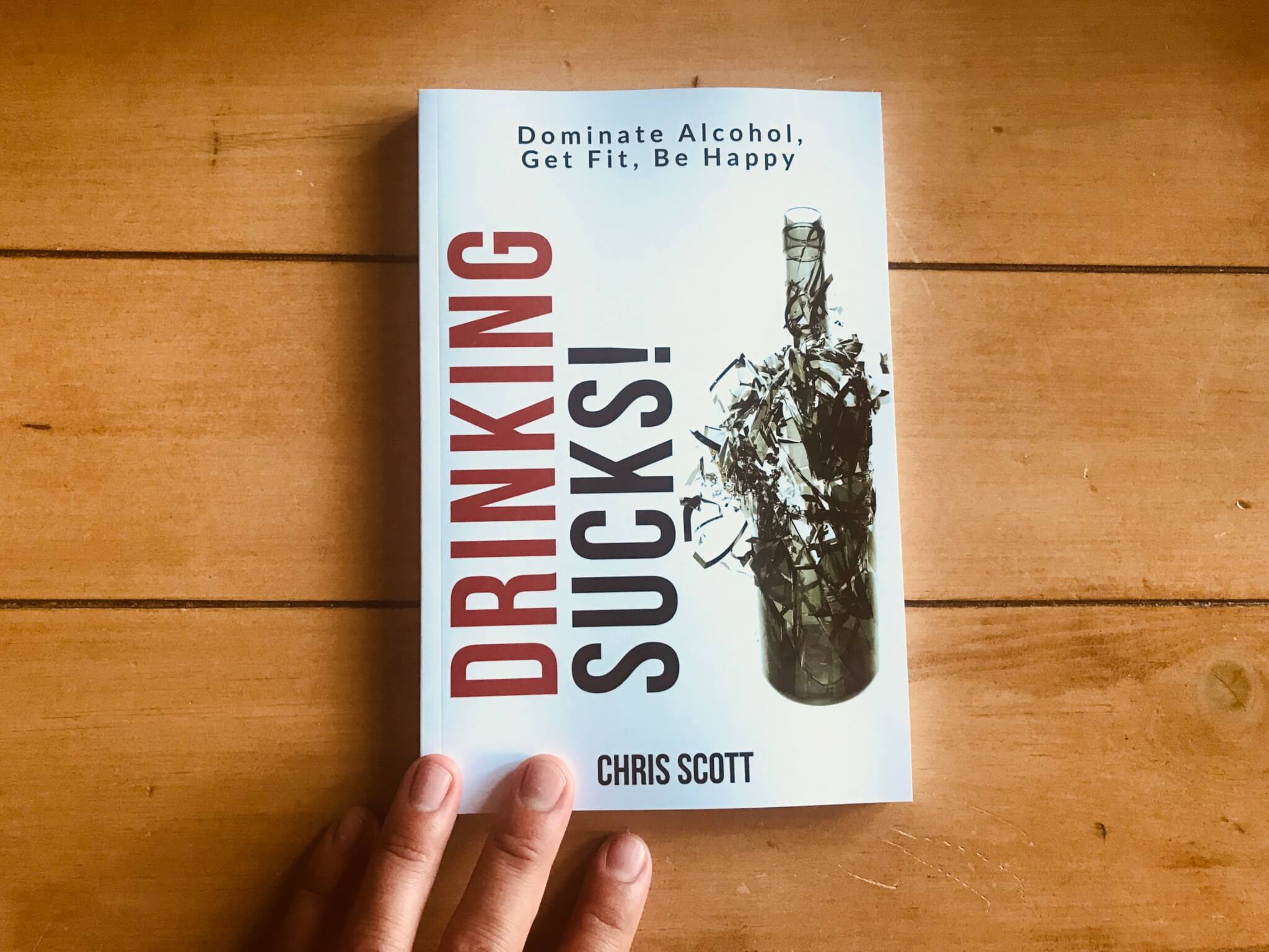 Drinking Sucks Paperback Picture